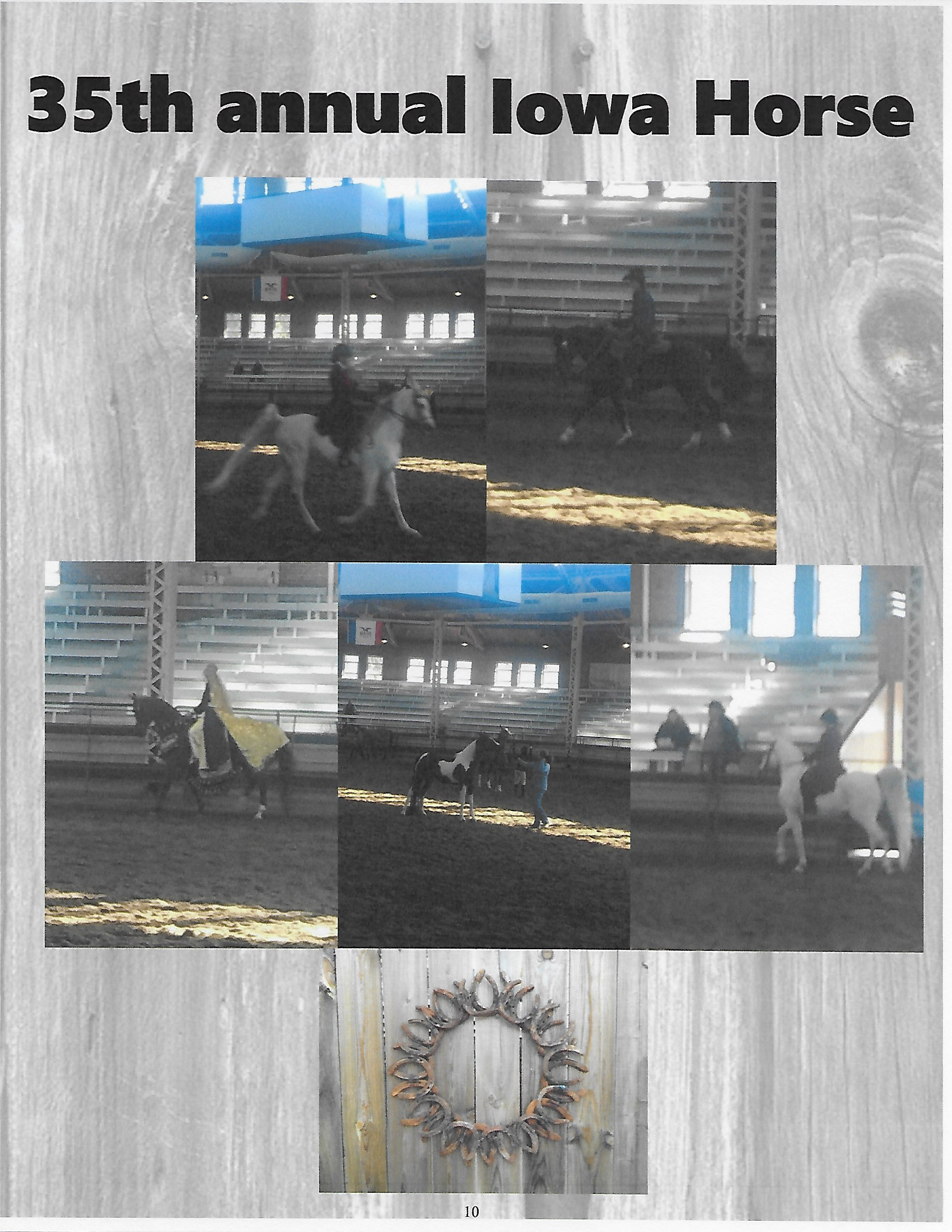 35th annual Iowa horse